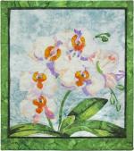 Moon Orchid